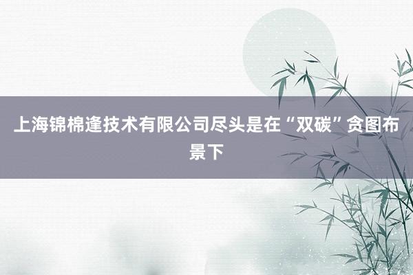 上海锦棉逢技术有限公司尽头是在“双碳”贪图布景下